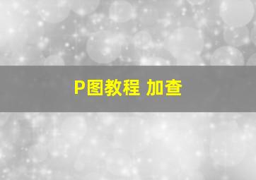 P图教程 加查